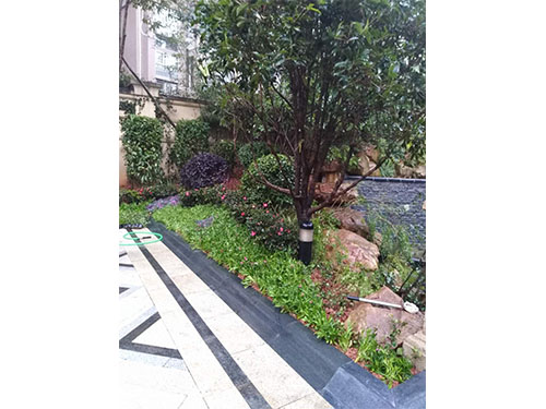 別墅園林施工 (9)