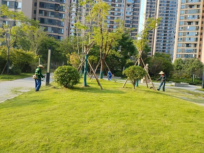 長沙市亮宇園林綠化工程有限公司,長沙園林養(yǎng)護,長沙大樹移植,小型樹種及花草哪里的好